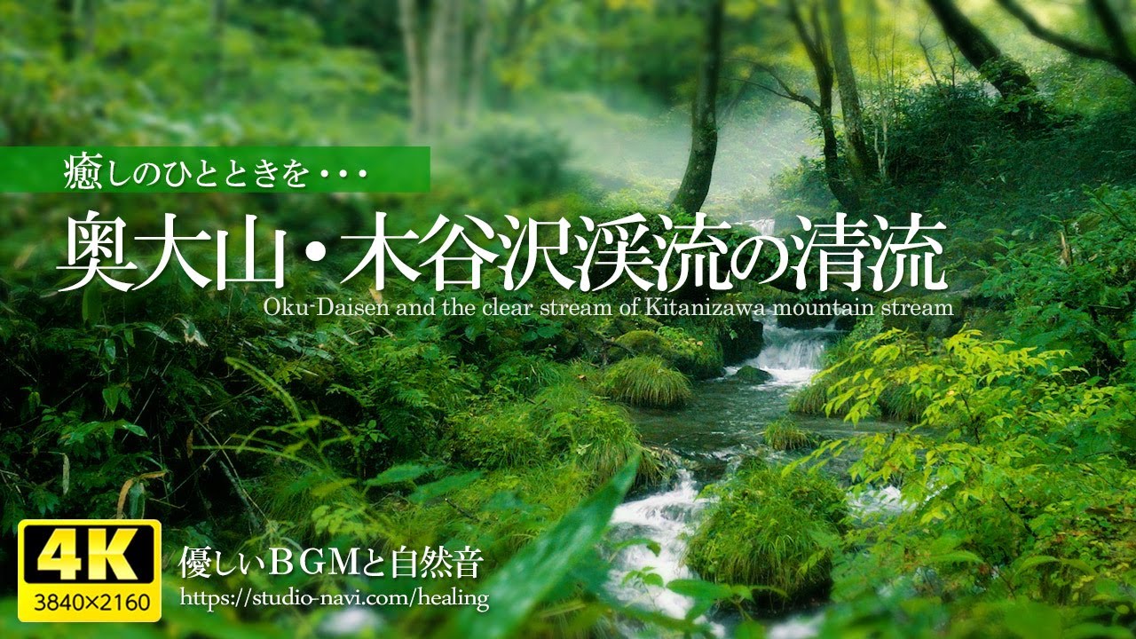 【癒し】奥大山の清流と自然あふれる新緑（CMロケ地／木谷沢渓流）疲れた心身の回復・リラックス効果・勉強中や作業用、目覚めの朝や眠れない夜にもどうぞ。