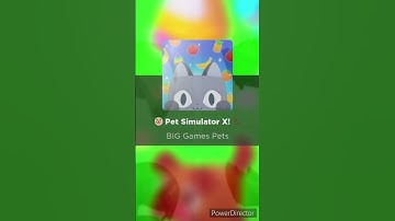 Roblox Hair Bug ( Pls fix this bug )