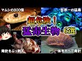 【ゆっくり解説】超危険！近づいてはいけない「猛毒生物」6選