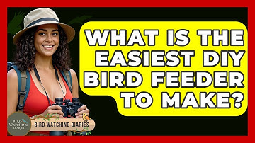 What Is The Easiest DIY Bird Feeder To Make? - Bird Watching Diaries
