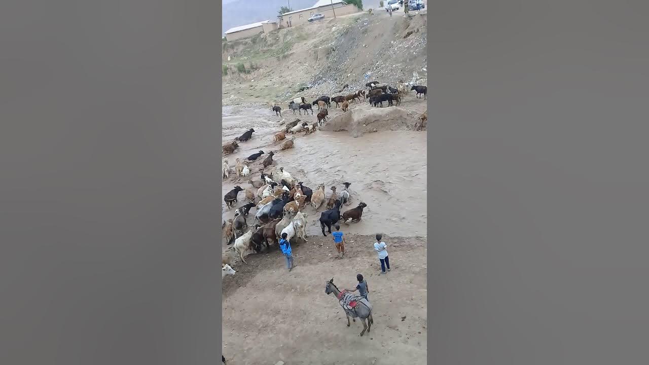 Погода в обикиик таджикистан