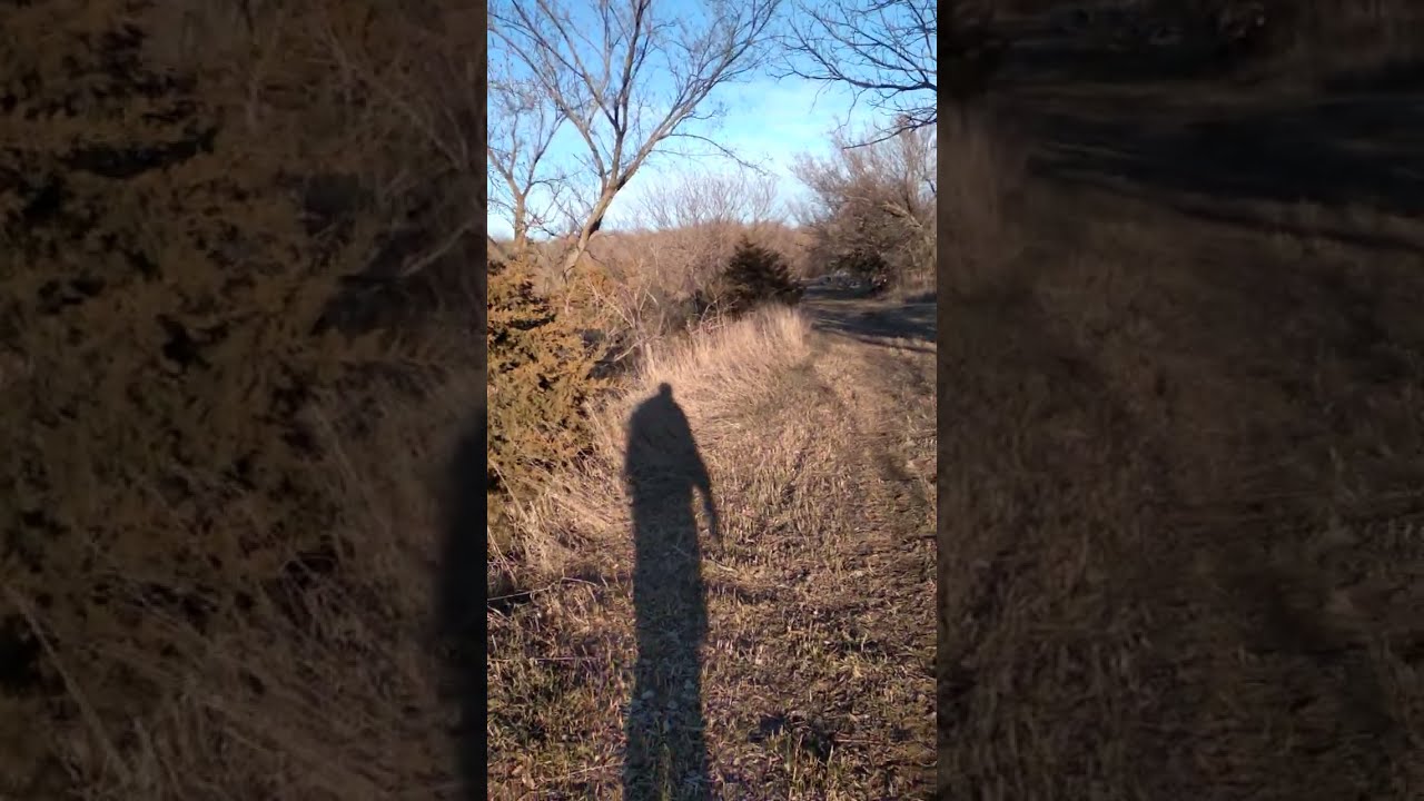 ME/CFS Life: Overcoming our physical limitations with mindset. 