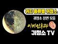 귀지 종류별 귀청소 방법 (penghapusan kotoran telinga)