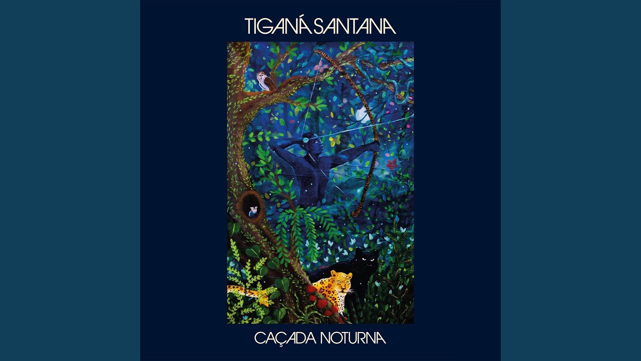 CACADA NOTURNA/TIGANA SANTANA/チガナ・サンタナ/「アフロ