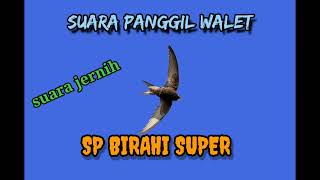 suara panggil walet ‼️ SP BIRAHI SUPER ⭐LINK DIBAGIKAN| mantap guyssss okeyyy