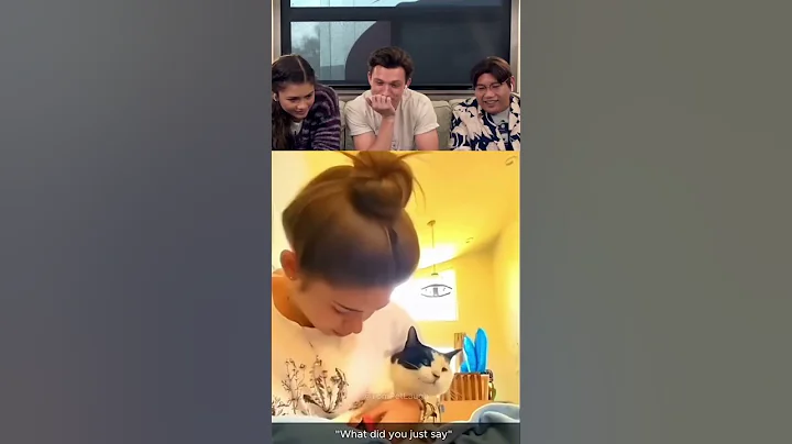 Video 10792391: laugh funny cat reaction, tom cat funny