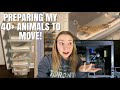 Packing all of my pets for my move  moving vlog 1