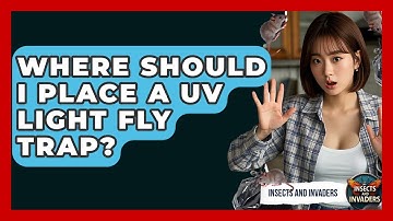 Where Should I Place A UV Light Fly Trap? - Insects and Invaders