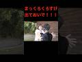《まっくろくろすけ出ておいで!》 【となりのトトロ】もしもめいちゃんがサイコパスだったら #バンカラジオ #切り抜き #ショート動画 #やねすけ #きいた