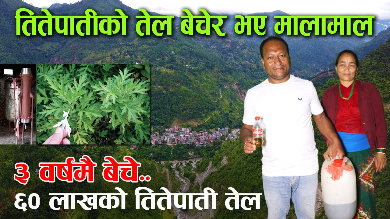 घरमै ल्याए जडिबुटीबाट तेल निकाल्ने मेसिन, भन्छन्– तितेपातीको खेती गर्नुस् बजार ग्यारेन्टी हाम्रो !