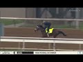 Joe Talamo on Equicizer Talking About INTREPIDO Fast Work