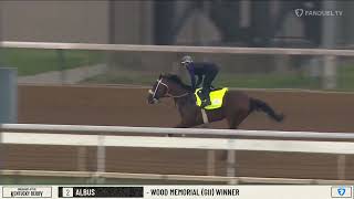 Joe Talamo on Equicizer Talking About INTREPIDO Fast Work