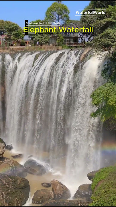 📍Elephant Waterfall Vietnam - Hidden Jungle Paradise in Da Lat! 🇻🇳 #shorts #shortsfeed #travel