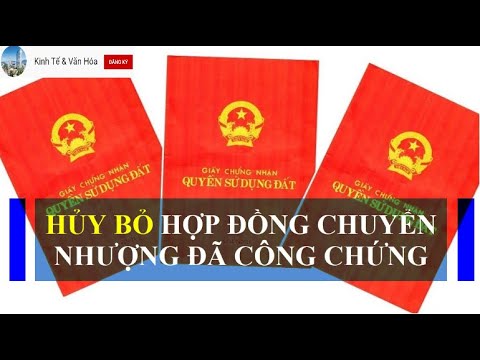 Video: Hợp đồng trec có thể chuyển nhượng được không?