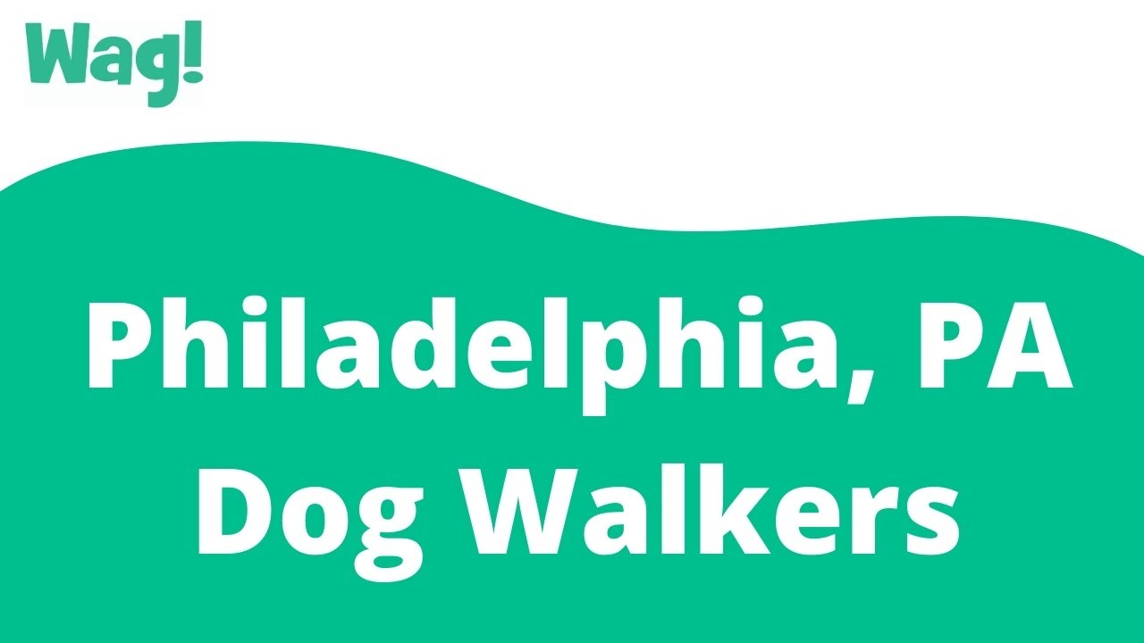 Philadelphia, PA Dog Walkers Wag! YouTube