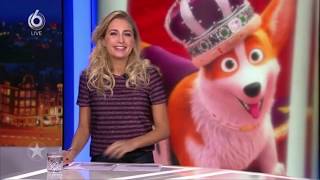 The Queens Corgi - SBS Shownieuws