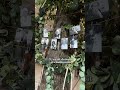 Ai Face La Nunta Ta Un Astfel De Colț Ai Face La Nunta Ta Un Astfel De Colț
