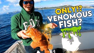 Venomous but Delicious | Crazy Boat Fishing Trip