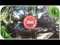 360º | Sons da Natureza, Pássaros Cantando, Água Corrente e Lagoa em 360 graus