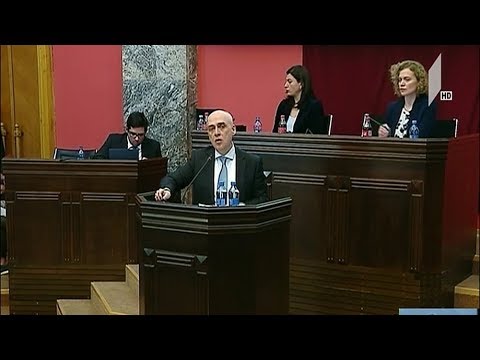 საგარეო საქმეთა მინისტრის მოხსენების მთავარი აქცენტები