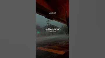 القرآن الكريم | محمد اللحيدان | أذكر الله وصل على النبي .