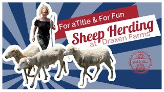 All Breed Sheep Herding at Draxen Farms by BIS B 1,171 views 3 years ago 16 minutes