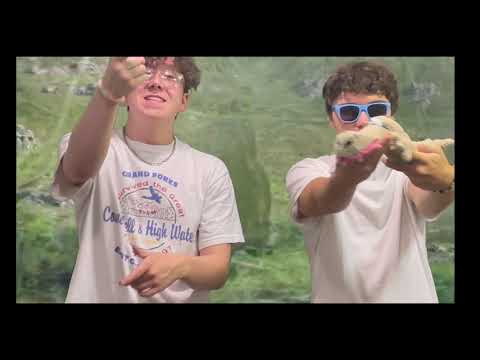 Instagram Gator - Official Music Video