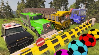 Funny Cars vs Long Cars with Deep Water - Big & Small Cars vs Rails and Train - BeamNG Drive