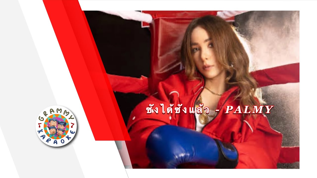 คาราโอเกะ ซังได้ซังแล้ว (ซนซน 40 ปี GMM GRAMMY) - PALMY