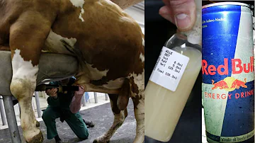Como é produzida a taurina?