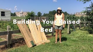 Building Your Raised Bed