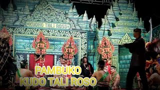 Pambuko