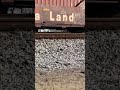 A nice horn show, and a dog crawls under train while its stopped!!!