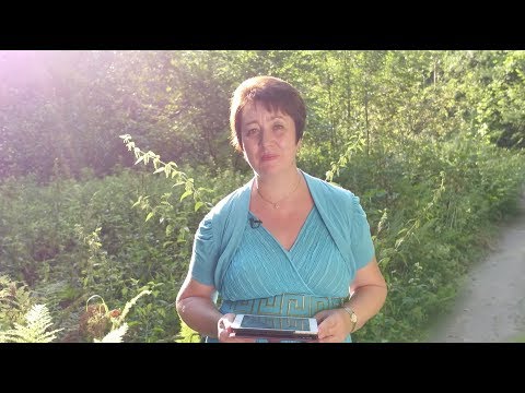 500. В.О. - Значение имени.
