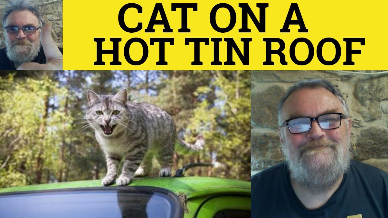 🔵 Cat on a Hot Tin Roof Meaning - Cat on a Hot Tin Roof Examples - Idioms - Cat on a Hot Tin Roof