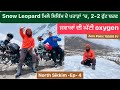 Snow leopard       zero point sikkim 15500 ft  north sikkim sikh traveller