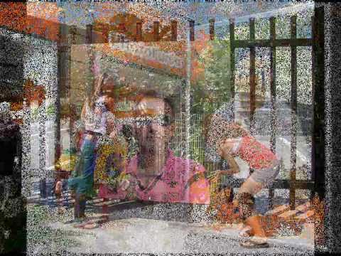 Jarral Brother Soona Taa Snkha