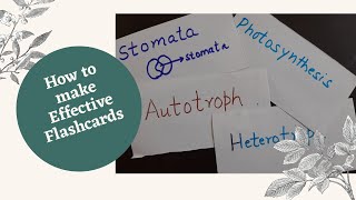 How to make effective flashcards: Quick and easy revision technique #studytips #NEET #cbseboard exam