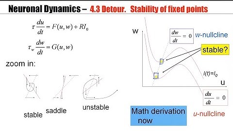 CNS Detour 3 - Stability of fixed points