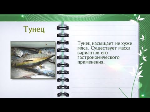 Тунец