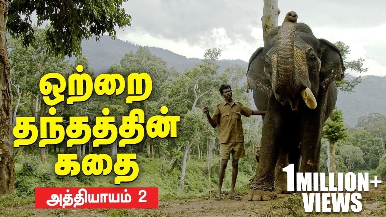 நேருக்கு நேர் மோதிய மதம் பிடித்த யானைகள்! | Kumki Series | Episode 2