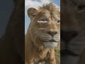 Mufasa: Il Re Leone | Al Cinema