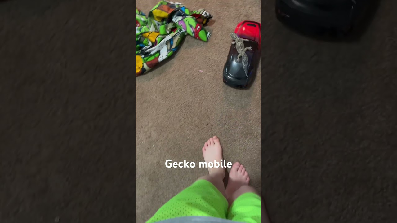The gecko mobile