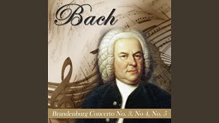 Video thumbnail of "Orchestra da Camera Fiorentina - Brandenburg Concerto No. 4 in G Major, BWV 1049: I. Allegro"