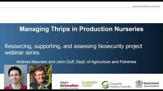 Managing thrips in Australian production nurseries