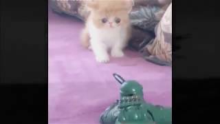 /r/eyebleach but it's a bad joke