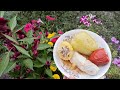 [Фаршированные овощи-перец, помидоры, капуста, картофель] | [Stuffed vegetables]