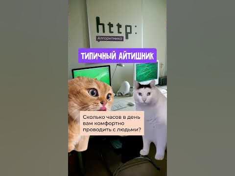 Типичный айтишник - YouTube
