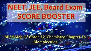 Mind Map | Score Booster | Chemistry | Chapter 14 | Grade 12- CBSE | NEET, JEE and CBSE Board Exam