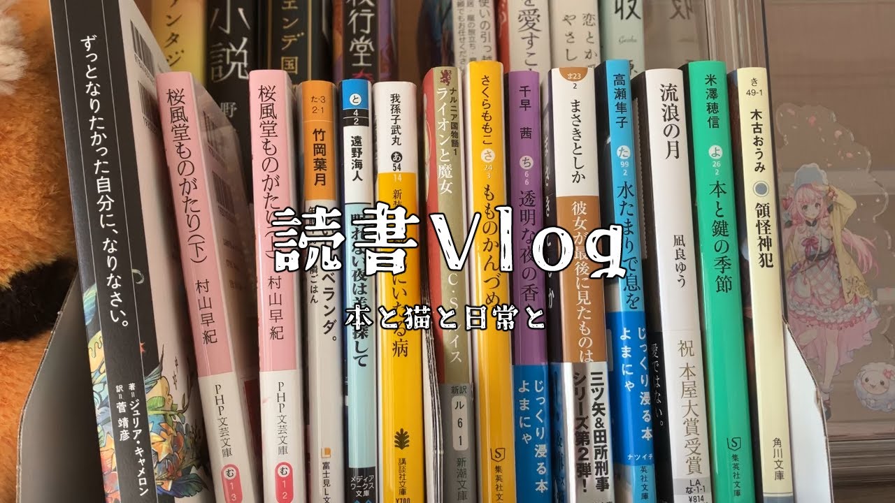 Vlog#1 ジャンル問わずなんでも読む読書好きの本棚紹介 │ 読書 │ ライトノベル │手帳タイム